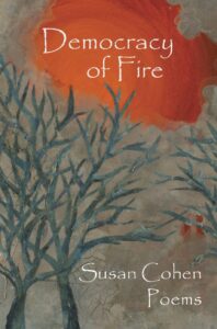 Cover of Democracy of Fire, featuring illustration of trees against a background of red sky.